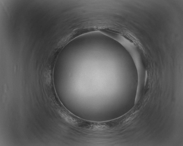 X0000084010401200702232210