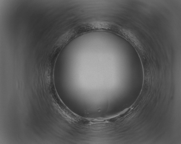 X0000084010402200702232210