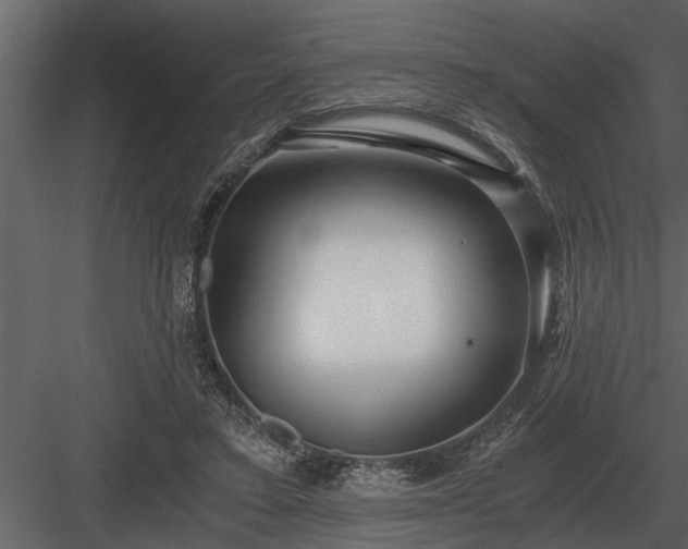 X0000084010403200702232210