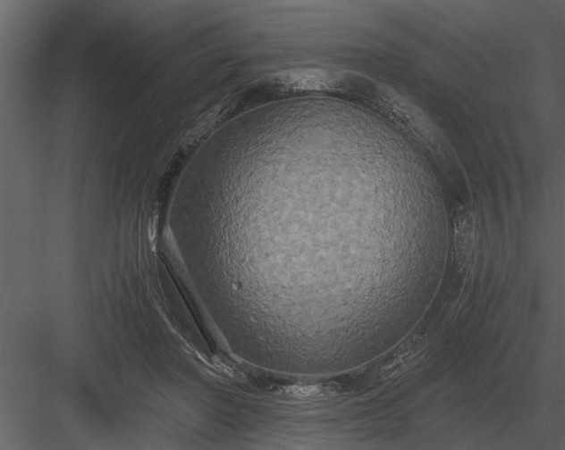 X0000084010406200702232210