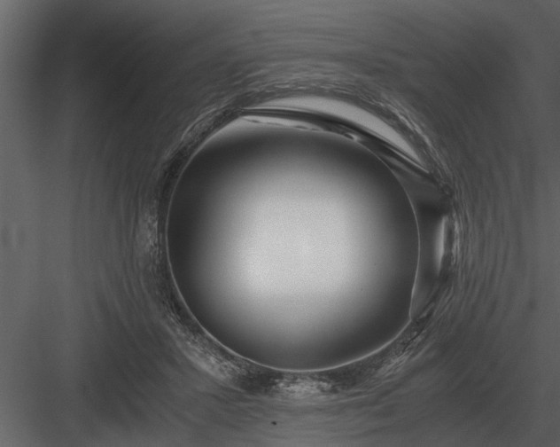 X0000084010407200702232210