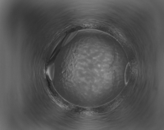 X0000084010408200702232210