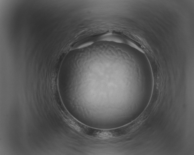 X0000084010409200702232210