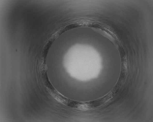 X0000084010411200702232210