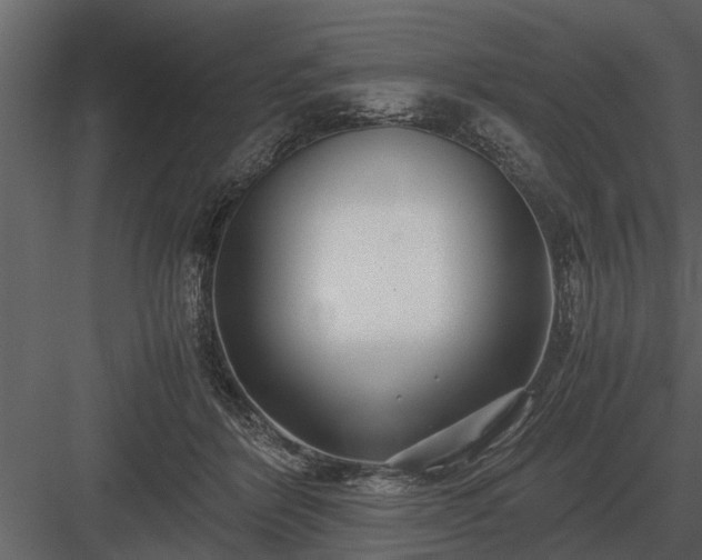 X0000084010412200702232210