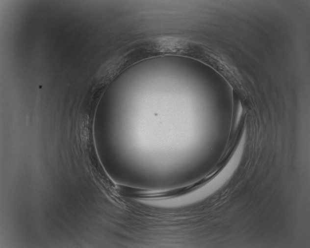 X0000084010413200702232210