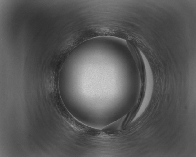 X0000084010416200702232210