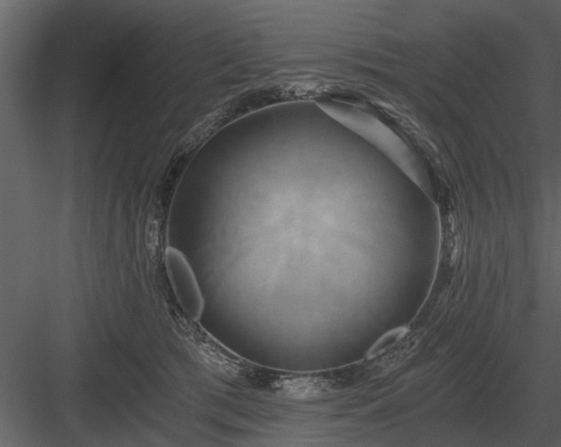 X0000084010417200702232210