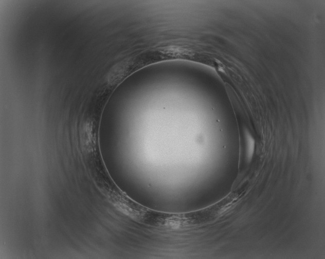 X0000084010420200702232209