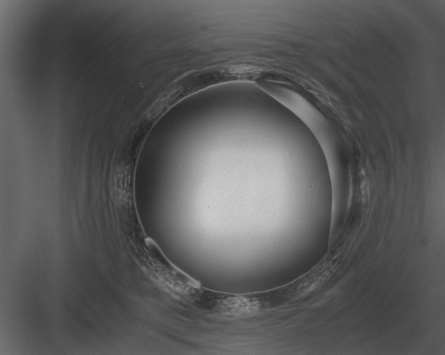 X0000084010421200702232209