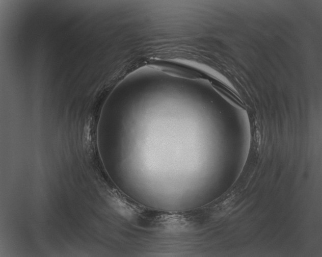 X0000084010424200702232209