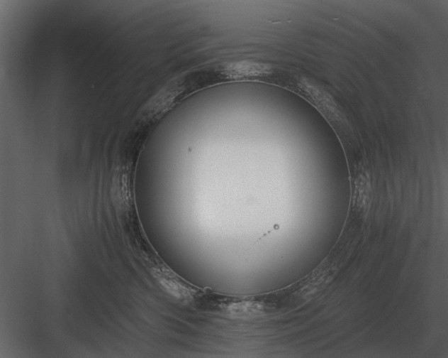 X0000084010426200702232209