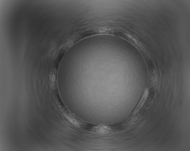 X0000084010427200702232209