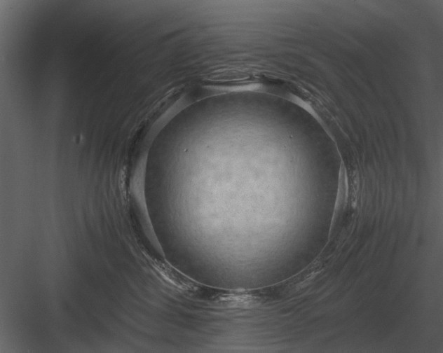 X0000084010428200702232209