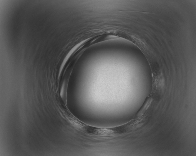 X0000084010429200702232209