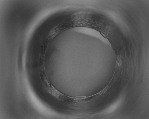 X0000084010431200702232209