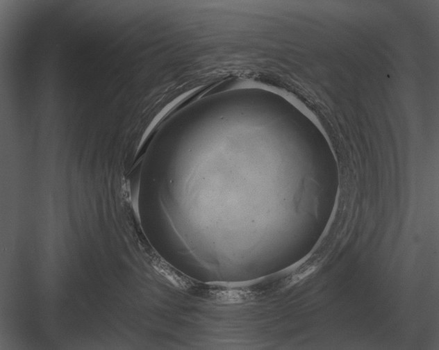 X0000084010432200702232209