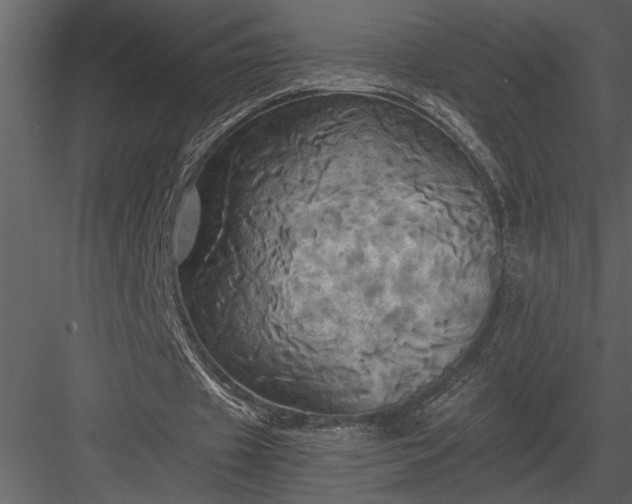 X0000084010433200702232208