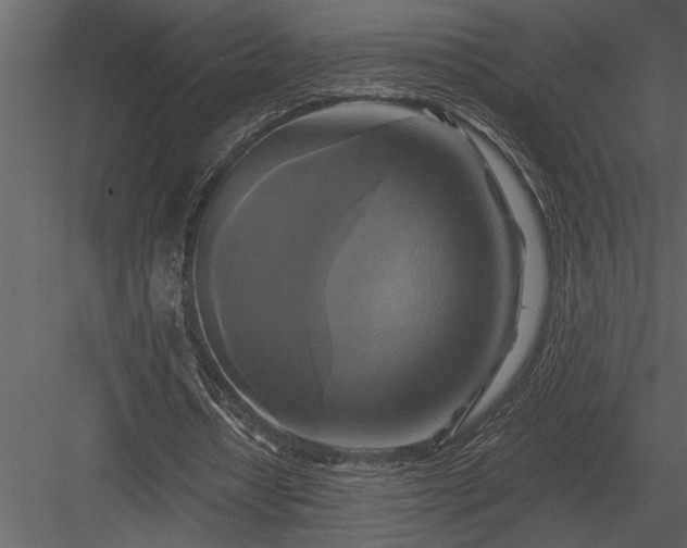 X0000084010434200702232208