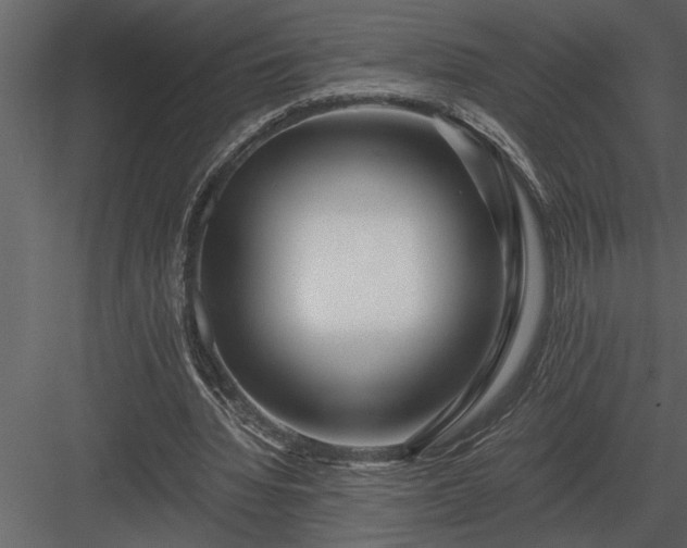 X0000084010436200702232208