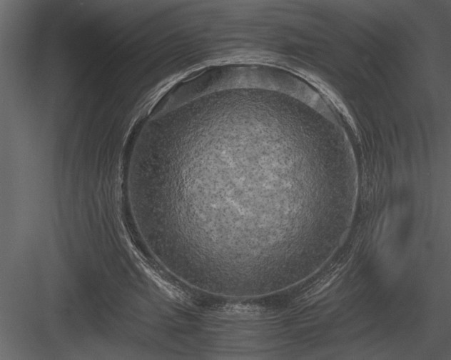 X0000084010437200702232209