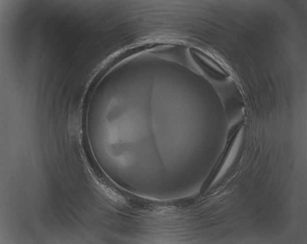 X0000084010438200702232209