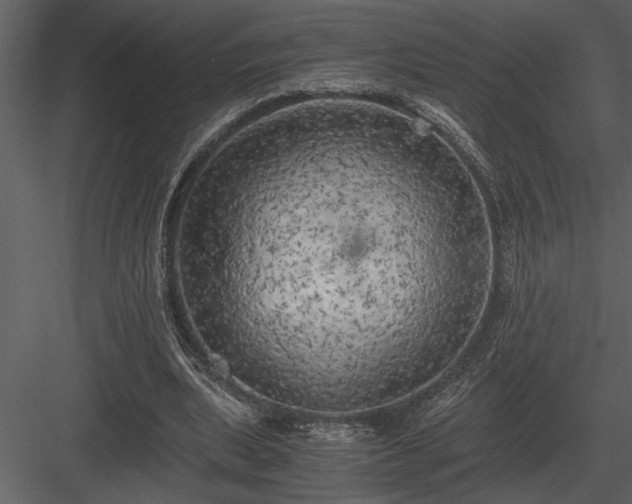 X0000084010439200702232209