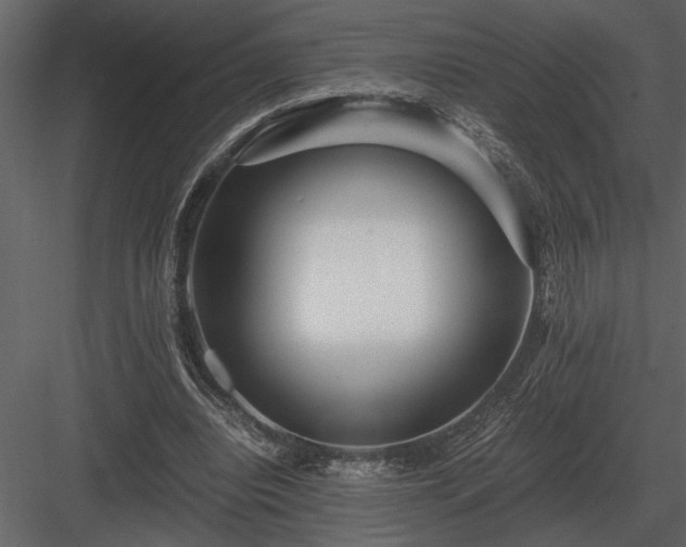 X0000084010440200702232209