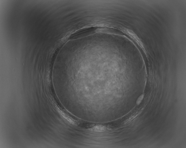 X0000084010441200702232209