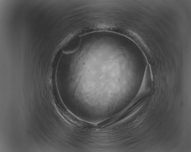 X0000084010443200702232209