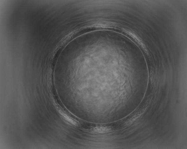 X0000084010445200702232209