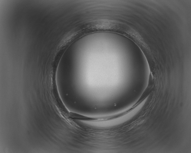 X0000084010446200702232209