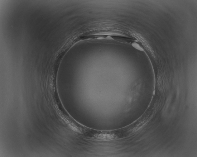 X0000084010449200702232209