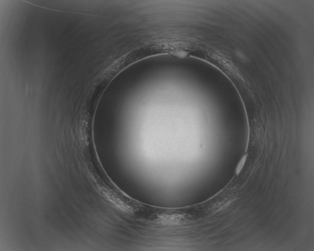 X0000084010450200702232209