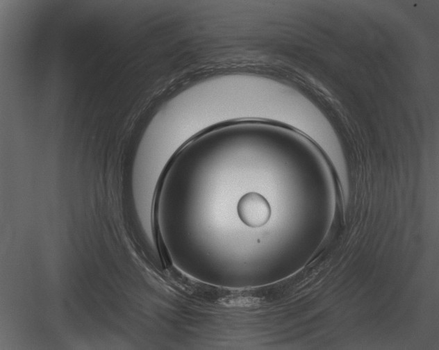 X0000084010452200702232209