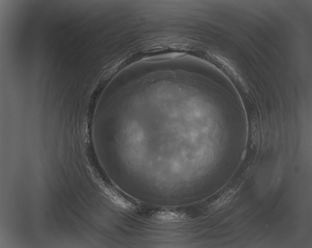 X0000084010453200702232209