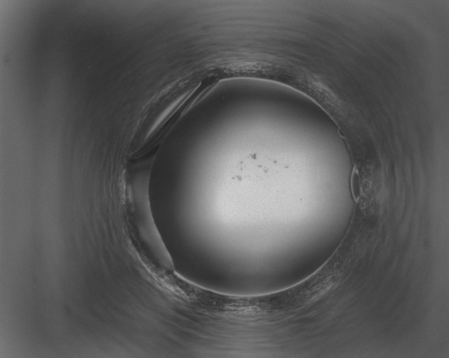 X0000084010454200702232209