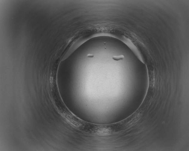 X0000084010456200702232209