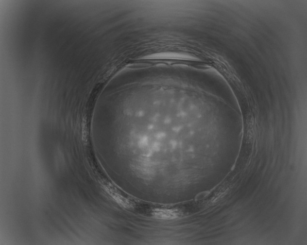 X0000084010457200702232209