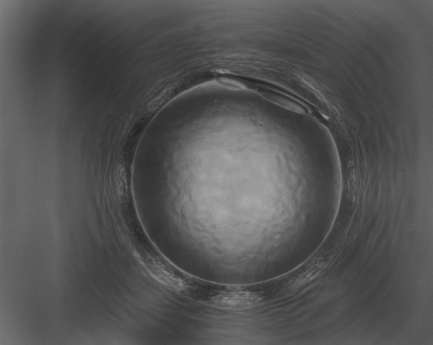 X0000084010459200702232209