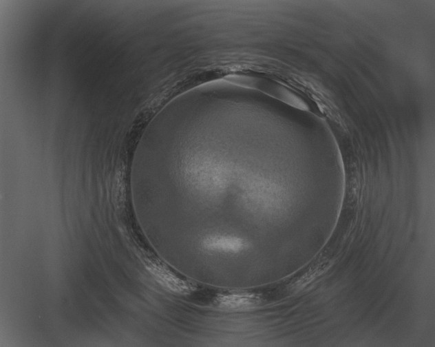 X0000084010461200702232209