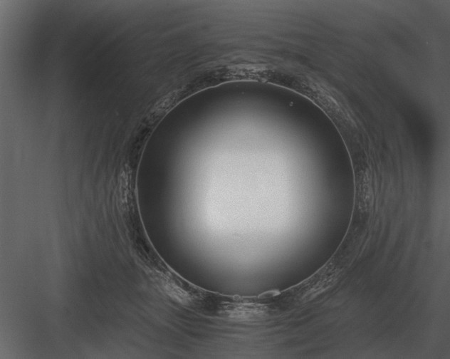 X0000084010463200702232209