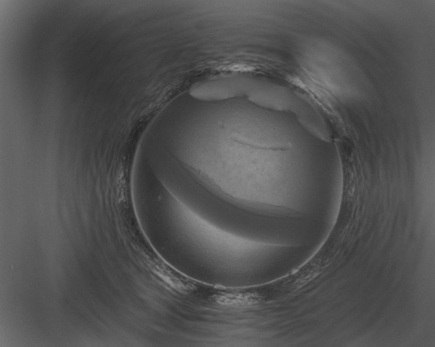 X0000084010465200702232209