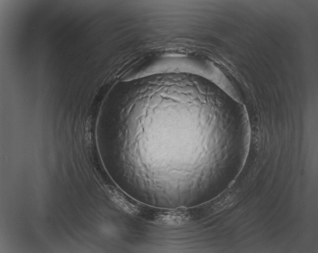 X0000084010466200702232209