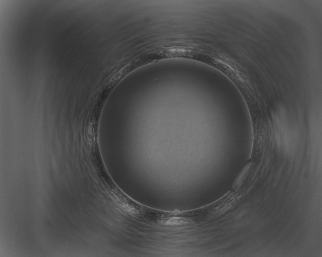 X0000084010467200702232209