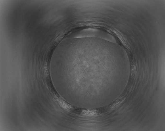 X0000084010469200702232209