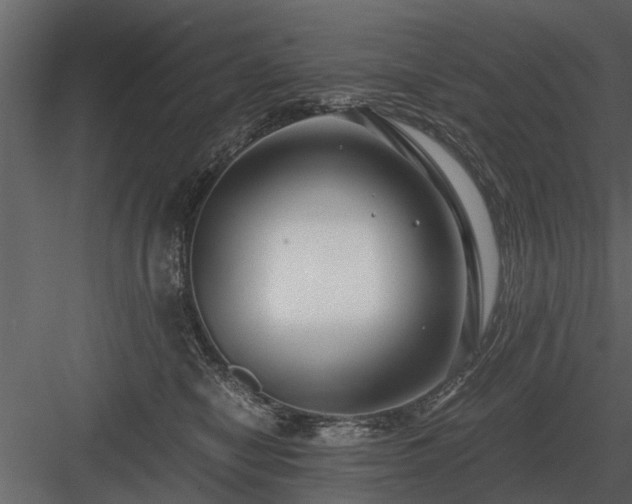 X0000084010470200702232209