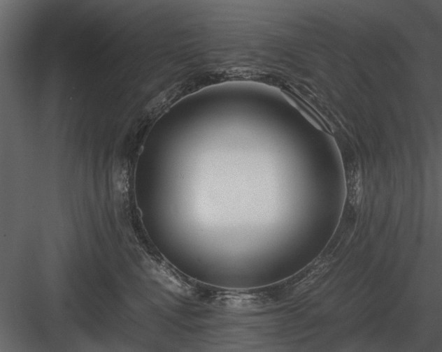 X0000084010472200702232209