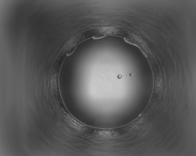 X0000084010473200702232209