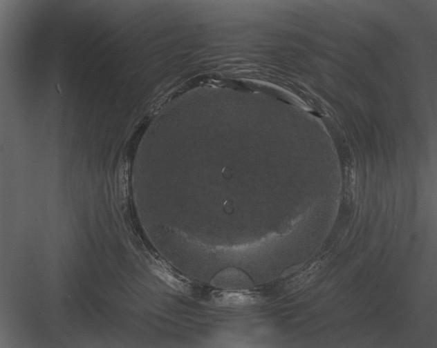 X0000084010475200702232209